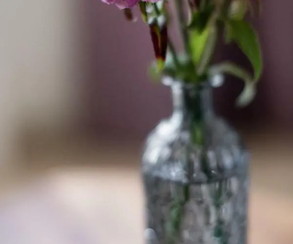 Apartment Hochfilzer Schladming